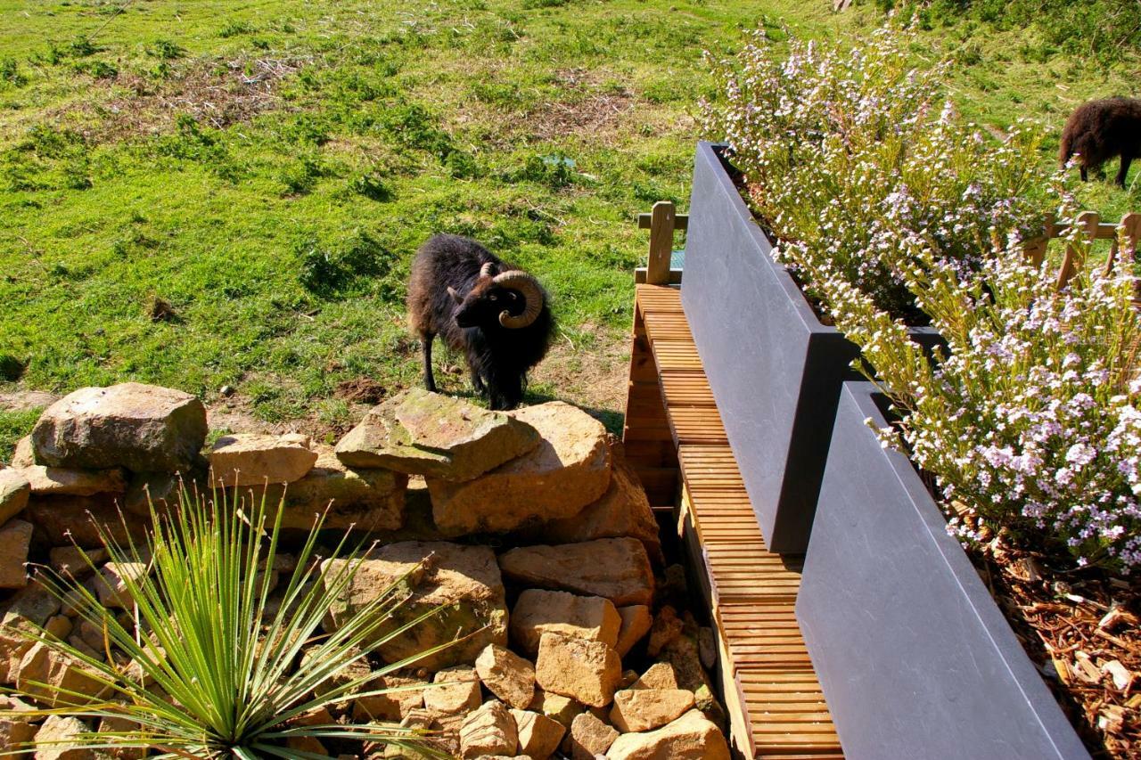 Le Colombier Bretagne Bed & Breakfast *