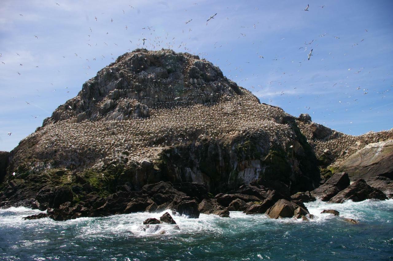 Le Colombier Bretagne Louannec